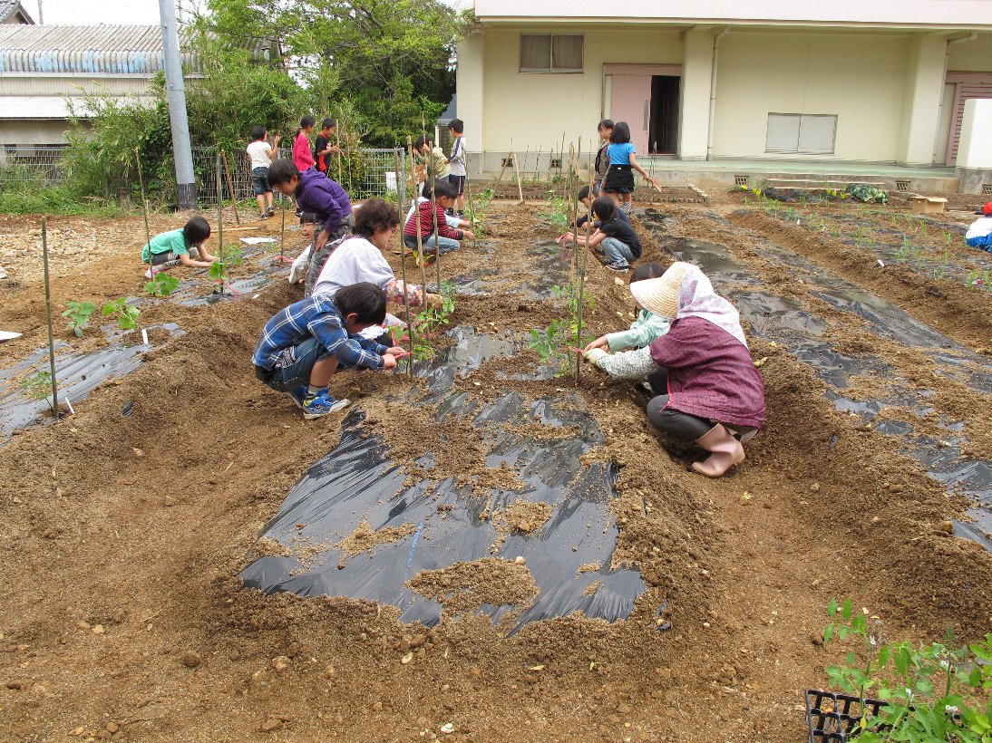 http://www.tahara.ed.jp/akabane-e/blog/IMG_2456.jpg