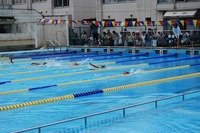 水泳大会１.jpg