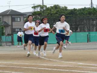 s-02 800Ｍ決勝.jpg