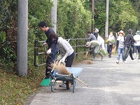 道路.jpg