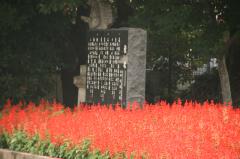 IMG_4263.jpg