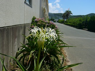 P1000244.jpg