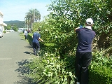 P1040918.jpg
