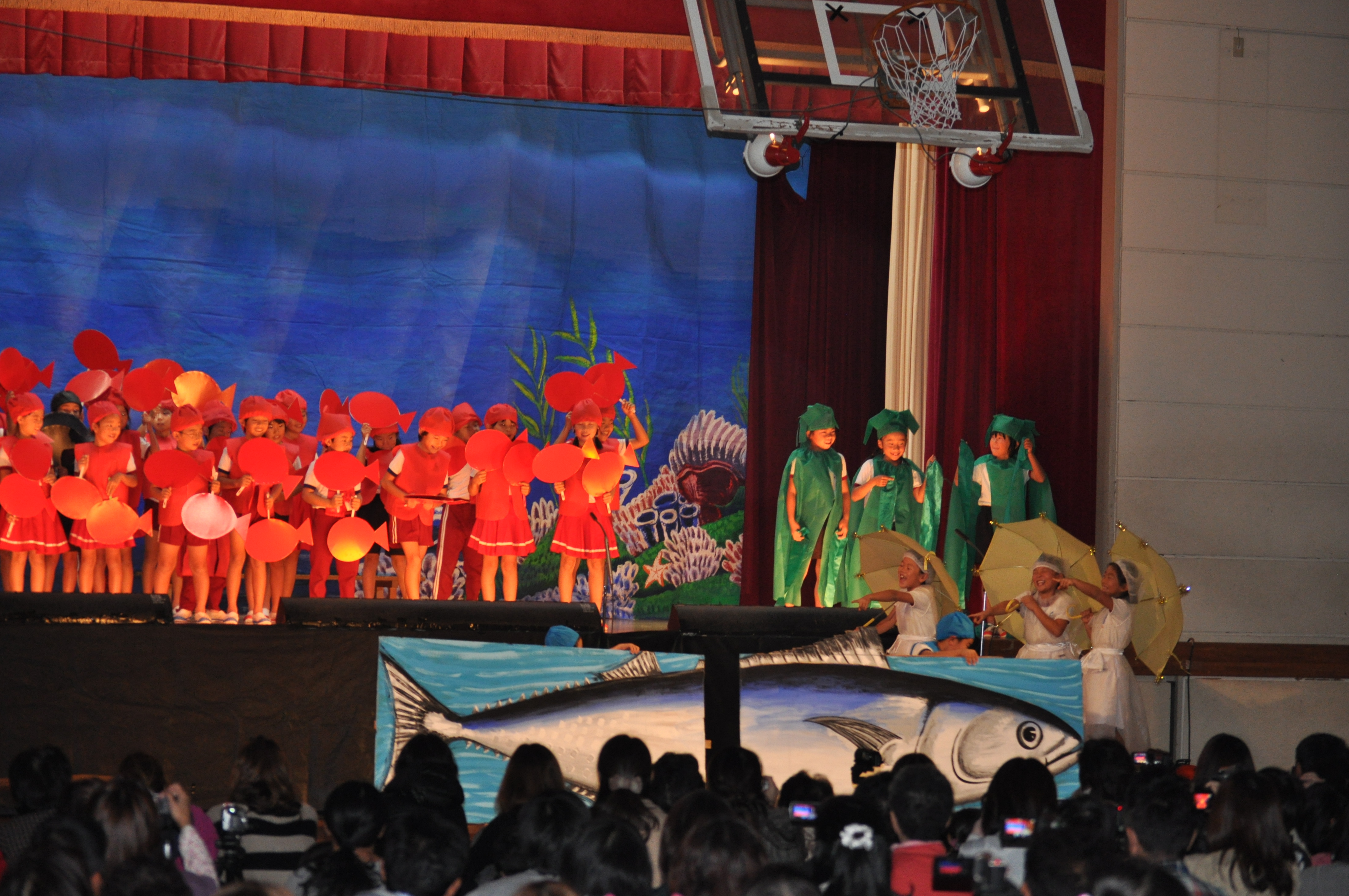 http://www.tahara.ed.jp/izumi-e/blog/DSC_0136.JPG
