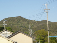 七つ山