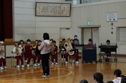 DSC08272.jpg