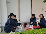 http://www.tahara.ed.jp/izumi-j/blog/DSC04068.jpg