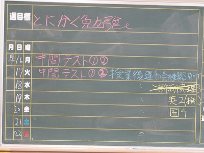 http://www.tahara.ed.jp/izumi-j/blog/DSC04325.jpg