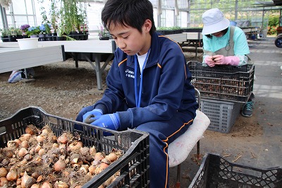 http://www.tahara.ed.jp/izumi-j/blog/IMG_0792.jpg