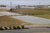 IMG_8089.jpg