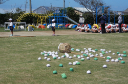 DSCN3927.jpg