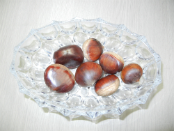 DSCN4090.jpg