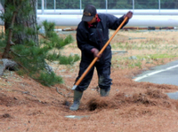 DSCN5090.jpg