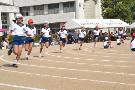 http://www.tahara.ed.jp/kinugasa-e/blog/DSC_0088s-.jpg