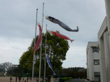 http://www.tahara.ed.jp/kinugasa-e/blog/P1110149.jpg