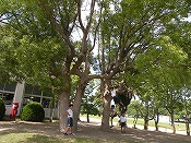 s-DSCN0725.jpg