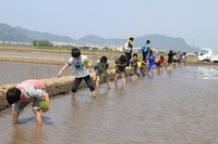 ４月２８日田植え５年.jpg