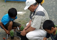 菊の植え付け.jpg