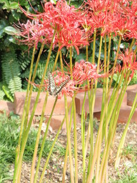 P1010004.JPG