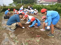 DSC08110.JPG