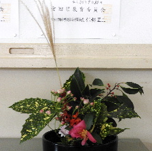 生け花４０.jpg