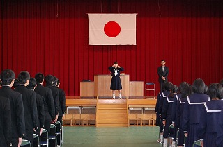 stgr2.jpg