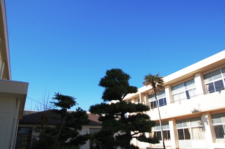 http://www.tahara.ed.jp/takamatsu-e/blog/%E7%B8%84%EF%BC%92.JPG