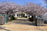 桜校門.jpg