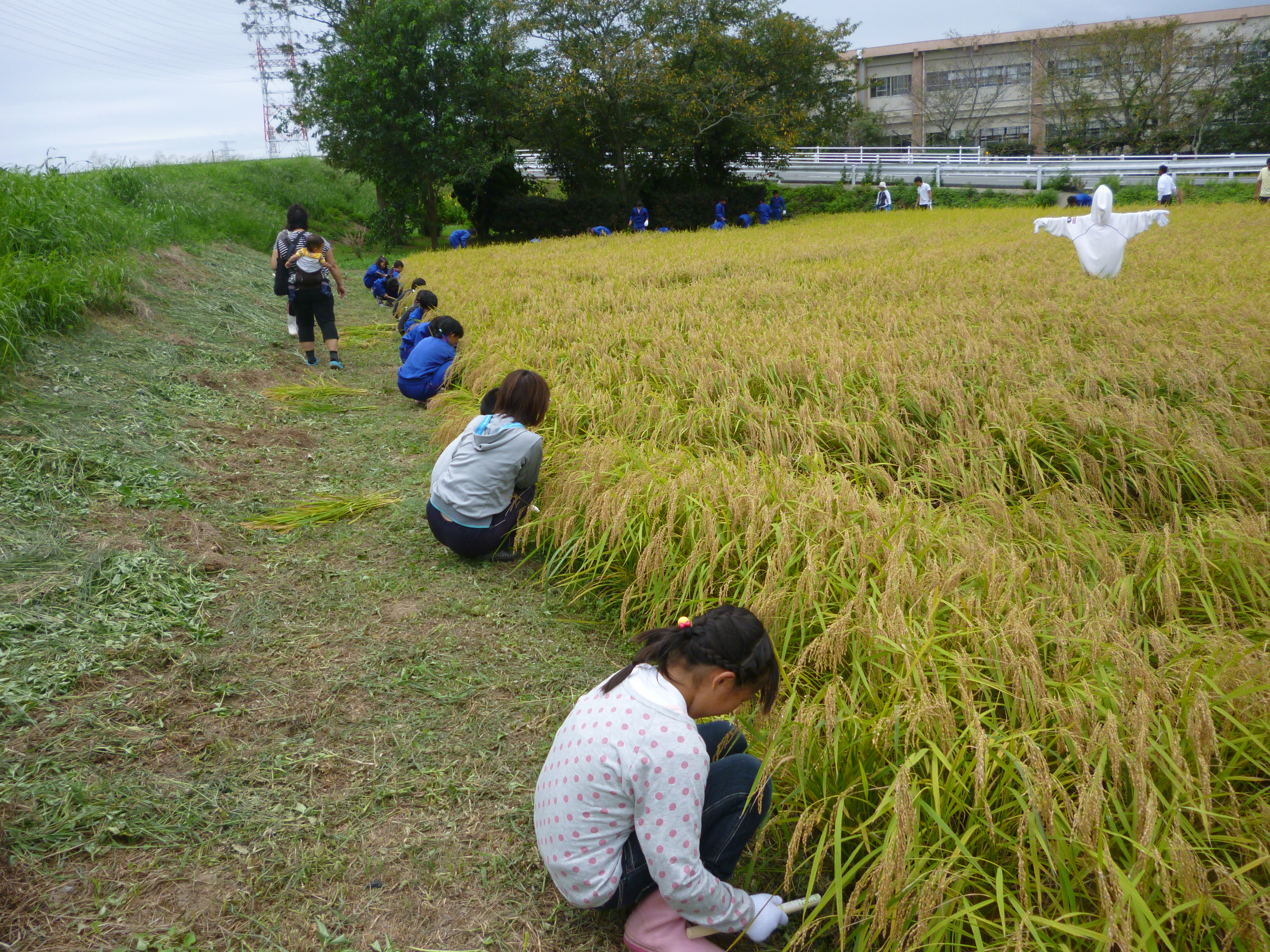 http://www.tahara.ed.jp/tobu-e/blog/2014/09/08/P1020646.JPG