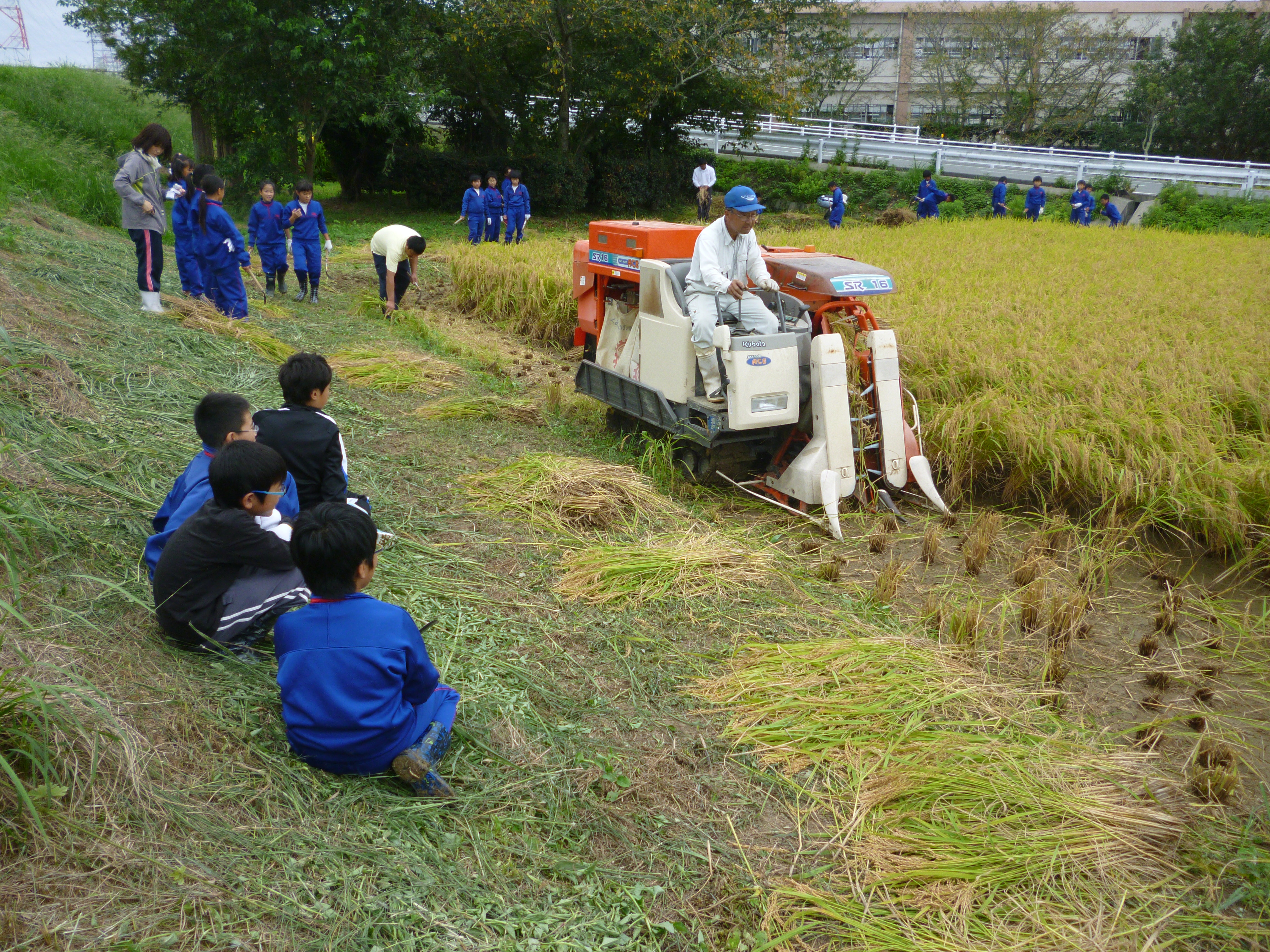 http://www.tahara.ed.jp/tobu-e/blog/2014/09/08/P1020654.JPG