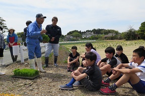 http://www.tahara.ed.jp/tobu-e/blog/2017/04/27/%E7%94%B0%E6%A4%8D%E3%81%8801.jpg