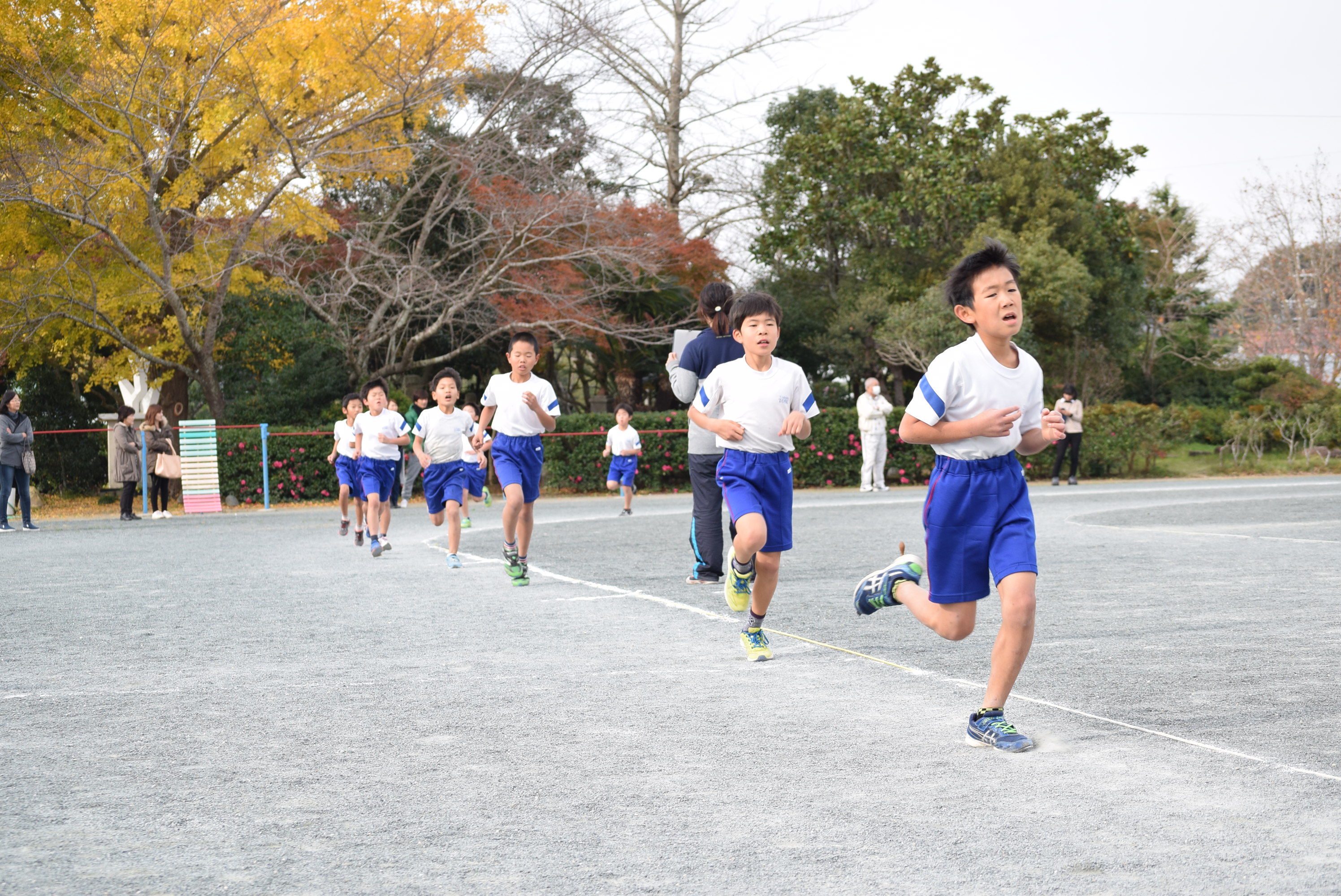 http://www.tahara.ed.jp/tobu-e/blog/3%E5%B9%B4%E7%94%B7%E5%AD%90.JPG