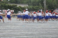 DSC_0822.jpg