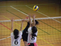 DSCN5204.jpg