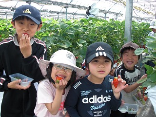 http://www.tahara.ed.jp/wakato-e/blog/CIMG1354.jpg