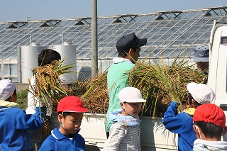 http://www.tahara.ed.jp/wakato-e/blog/IMG_3522.jpg