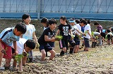 http://www.tahara.ed.jp/wakato-e/blog/assets_c/2012/05/IMG_0073-thumb-200x132-37353-thumb-200x132-37354.jpg