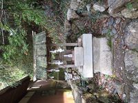 IMG_0060.jpg